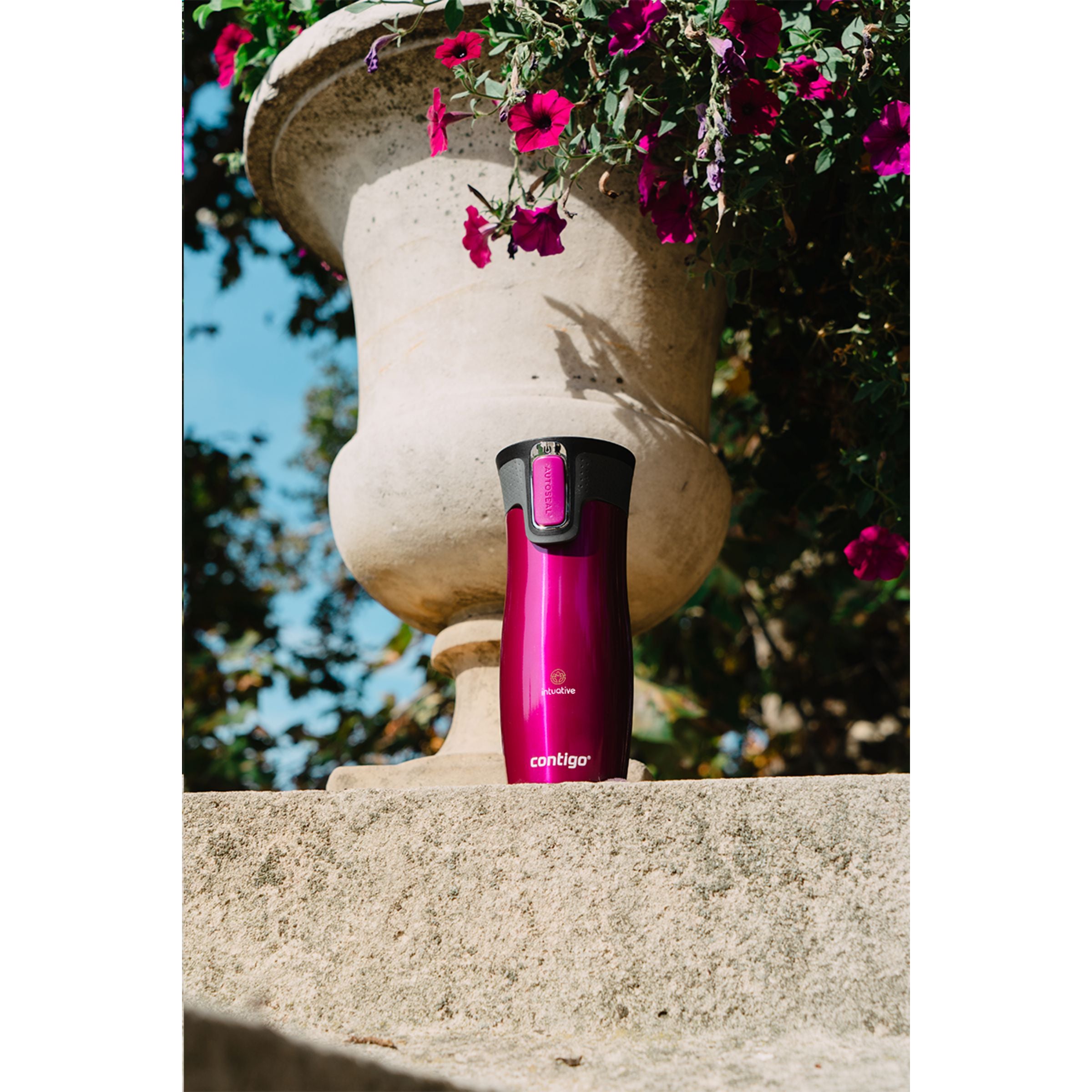 Contigo® Westloop Mug 470 ml Thermobecher - Magenta - Galerieansicht 9