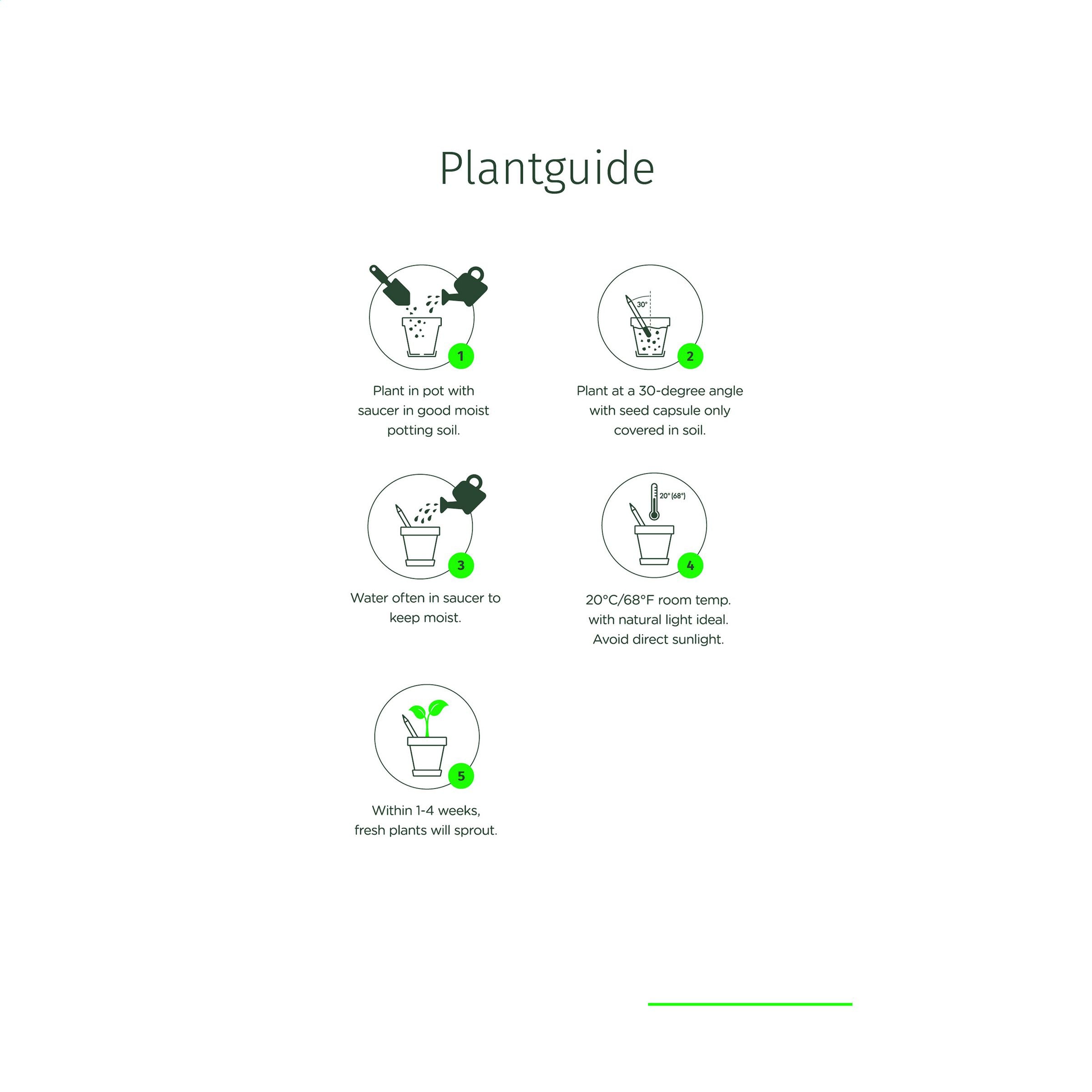 Sproutworld Unsharpened Pencil Bleisstift ungespitzt - Daisy - Galerieansicht 4
