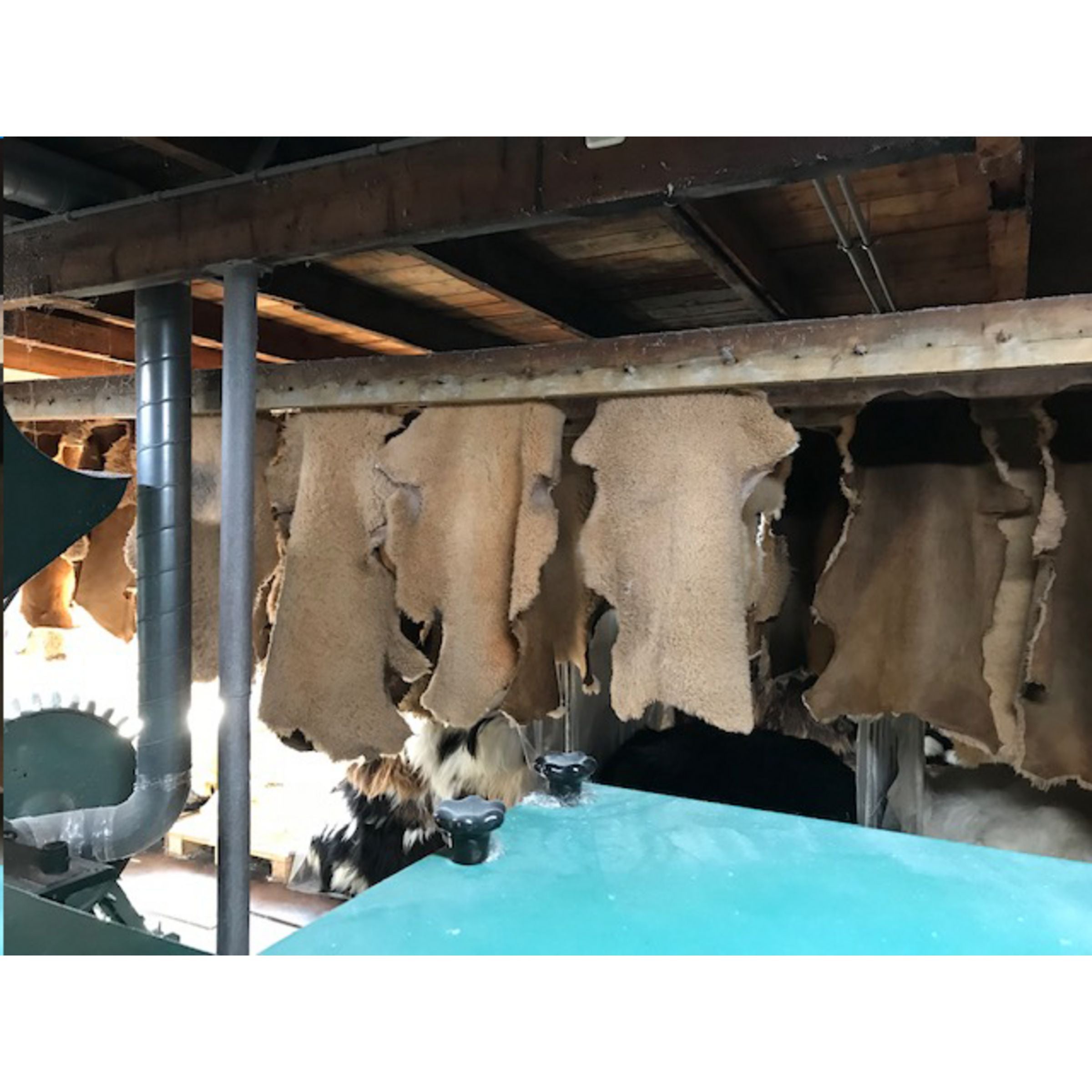 KYWIE Wine Cooler Suede Weinkühler - Camel - Galerieansicht 9