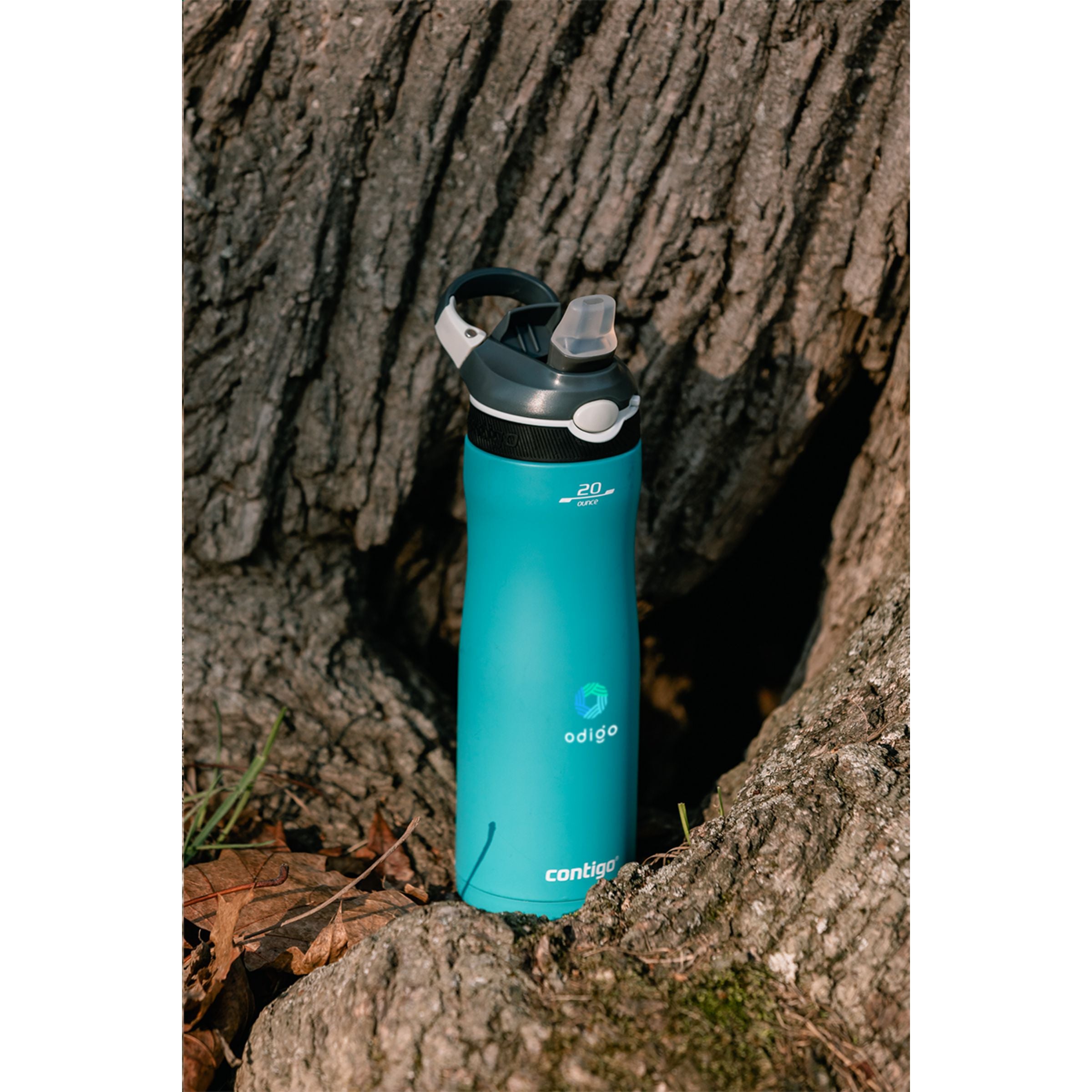 Contigo® Ashland Chill Colour 590 ml Trinkflasche - Türkis