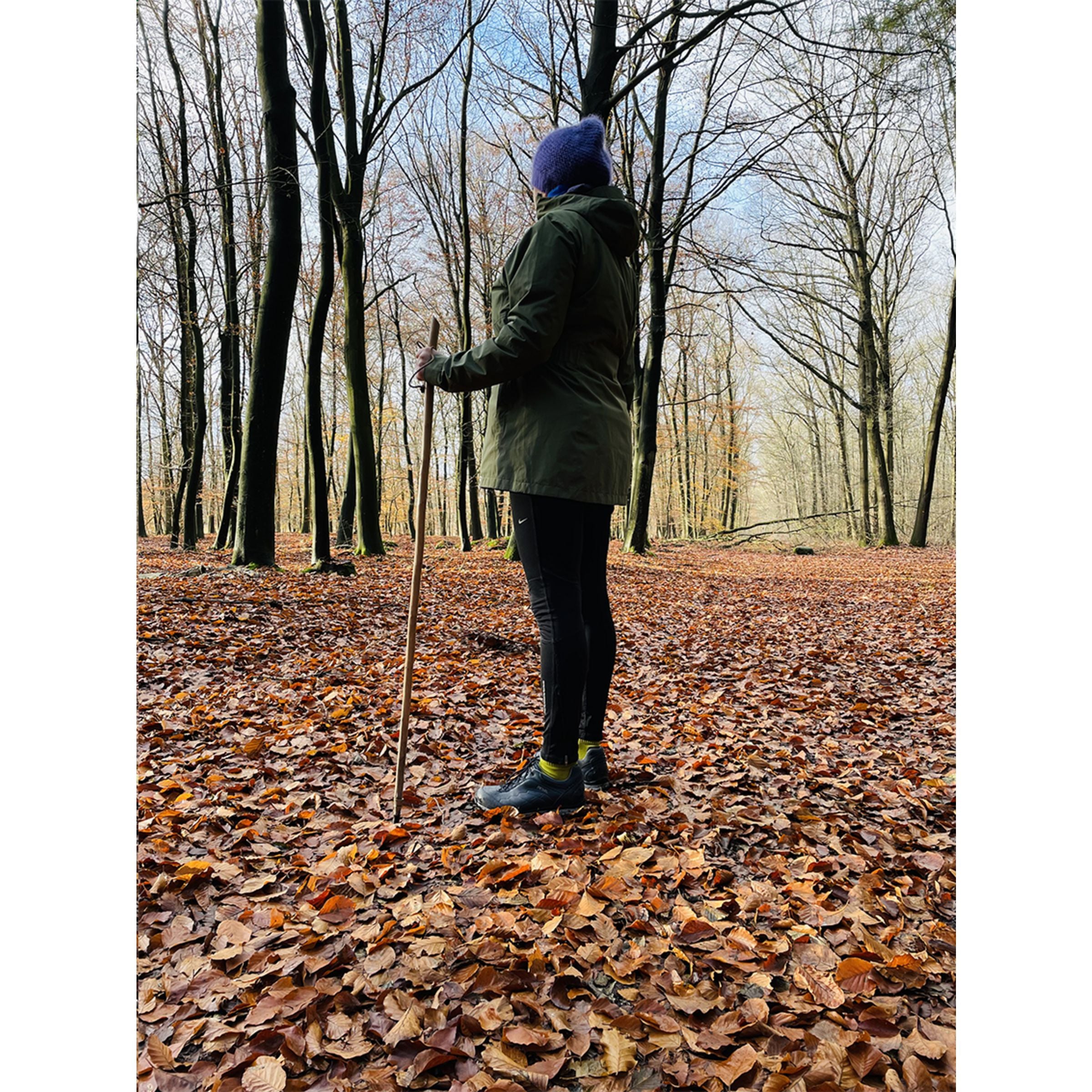 CleanWalk Walkingstick - Holz