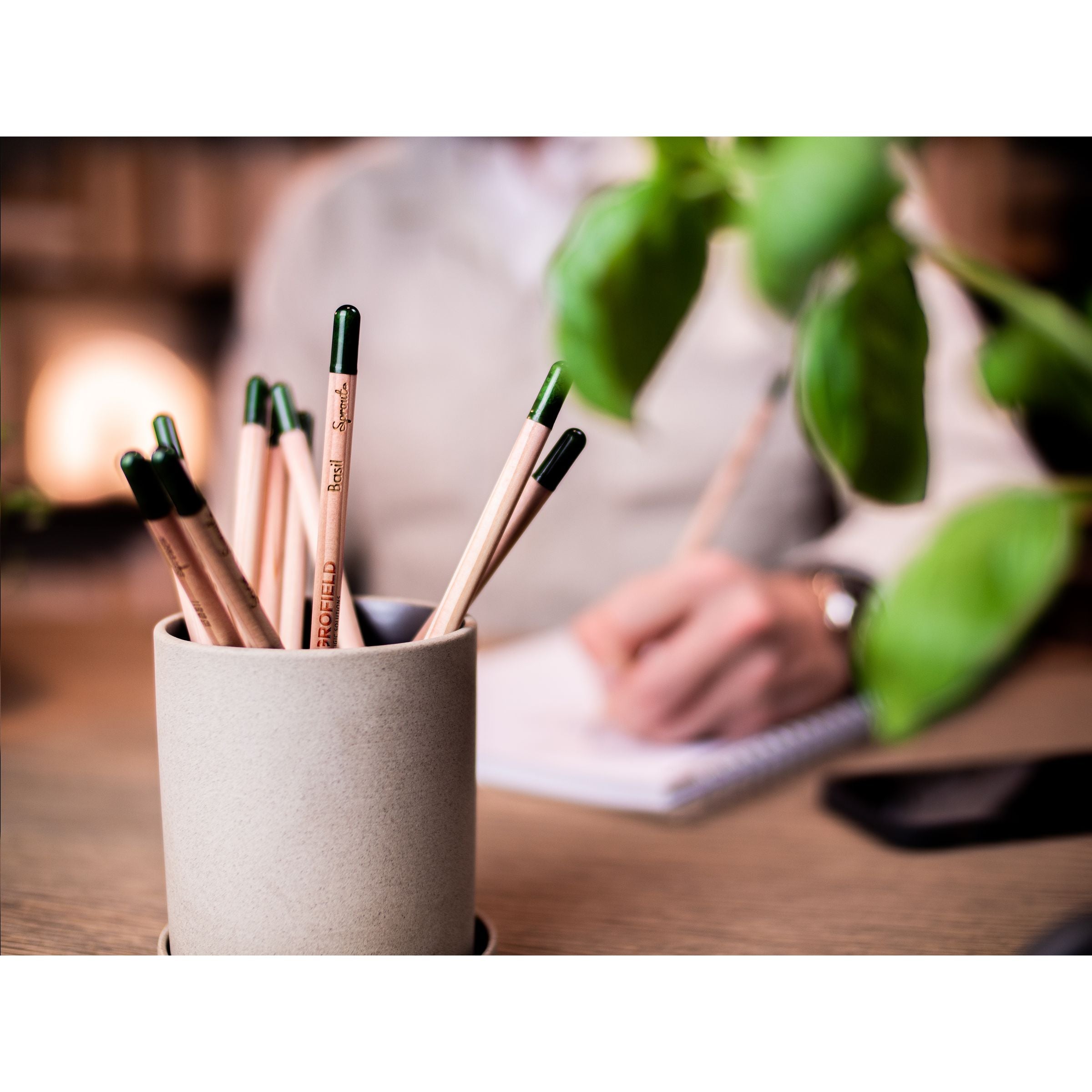 Sproutworld Unsharpened Pencil Bleisstift ungespitzt - Basil