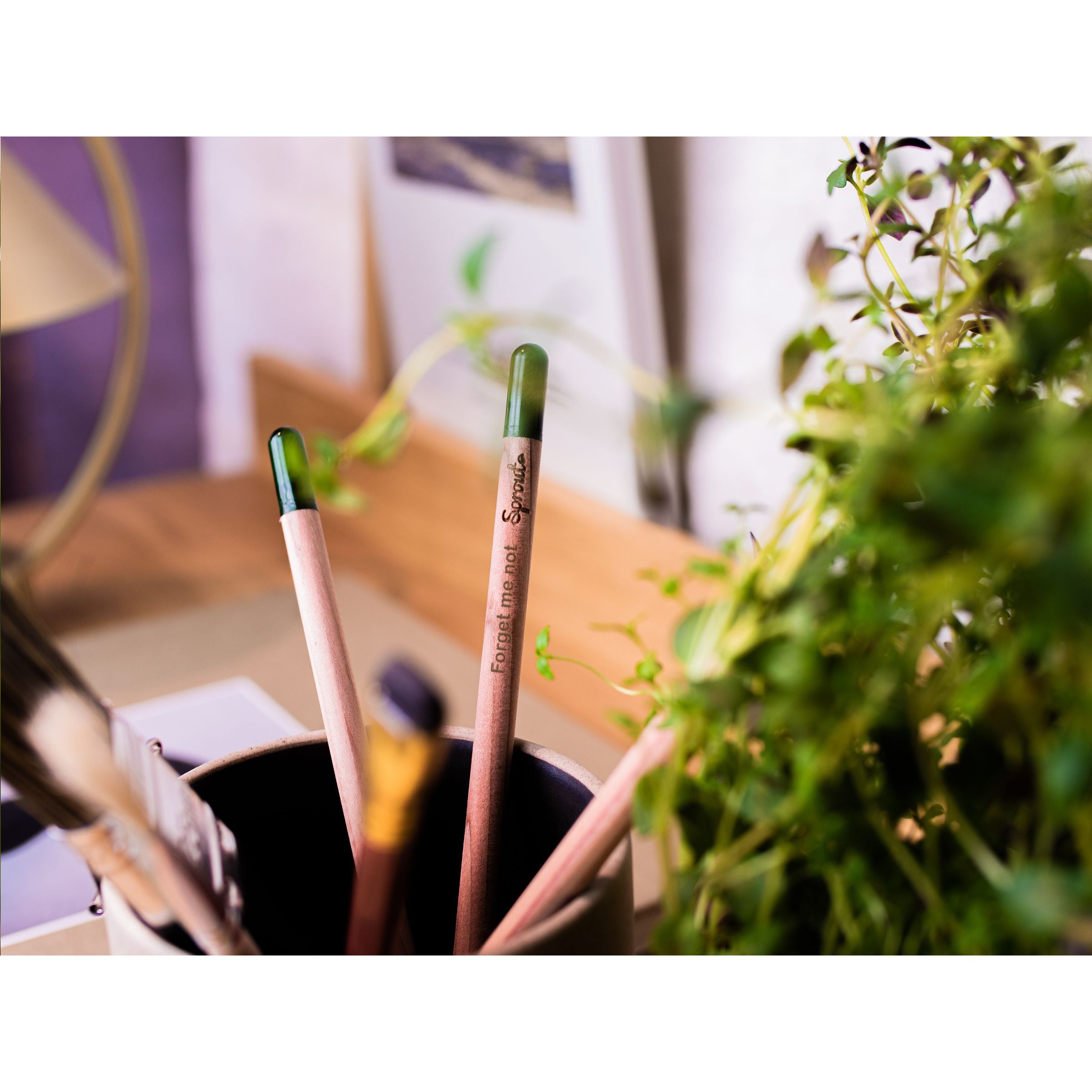 Sproutworld Unsharpened Pencil Bleisstift ungespitzt - Forget Me Not