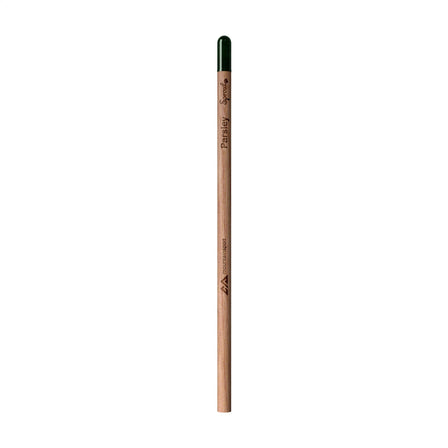 Sproutworld Unsharpened Pencil Bleisstift ungespitzt - Petersilie