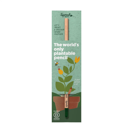 Einzelne Header-Karte für Sproutworld-Bleistift - Grün